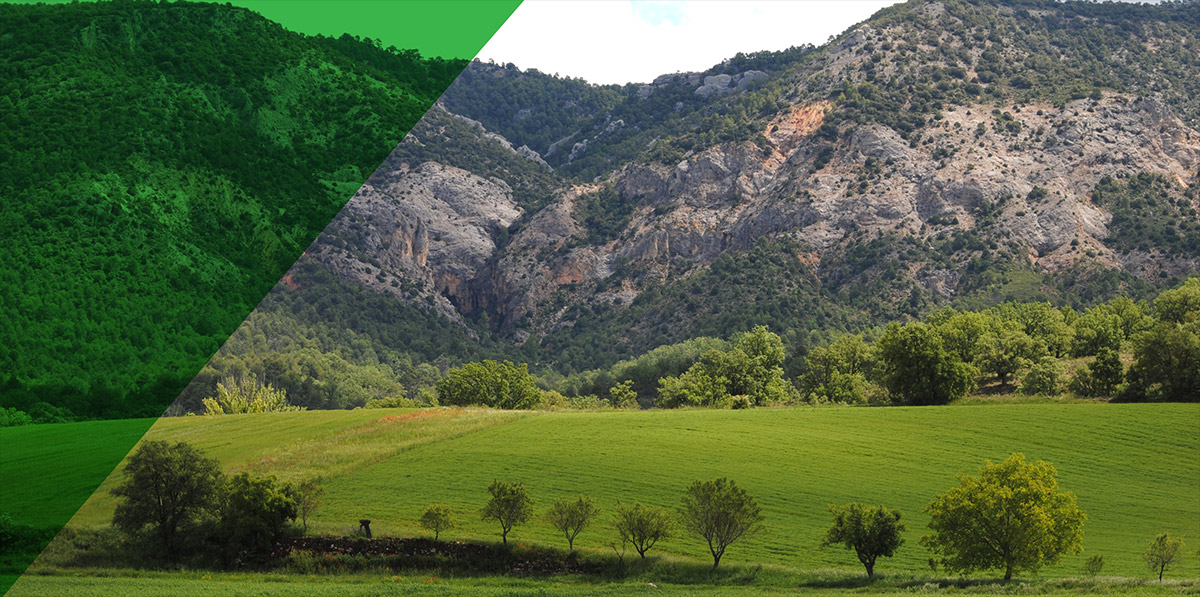Imagen de los campos y montañas de la Serranía de Cuenca